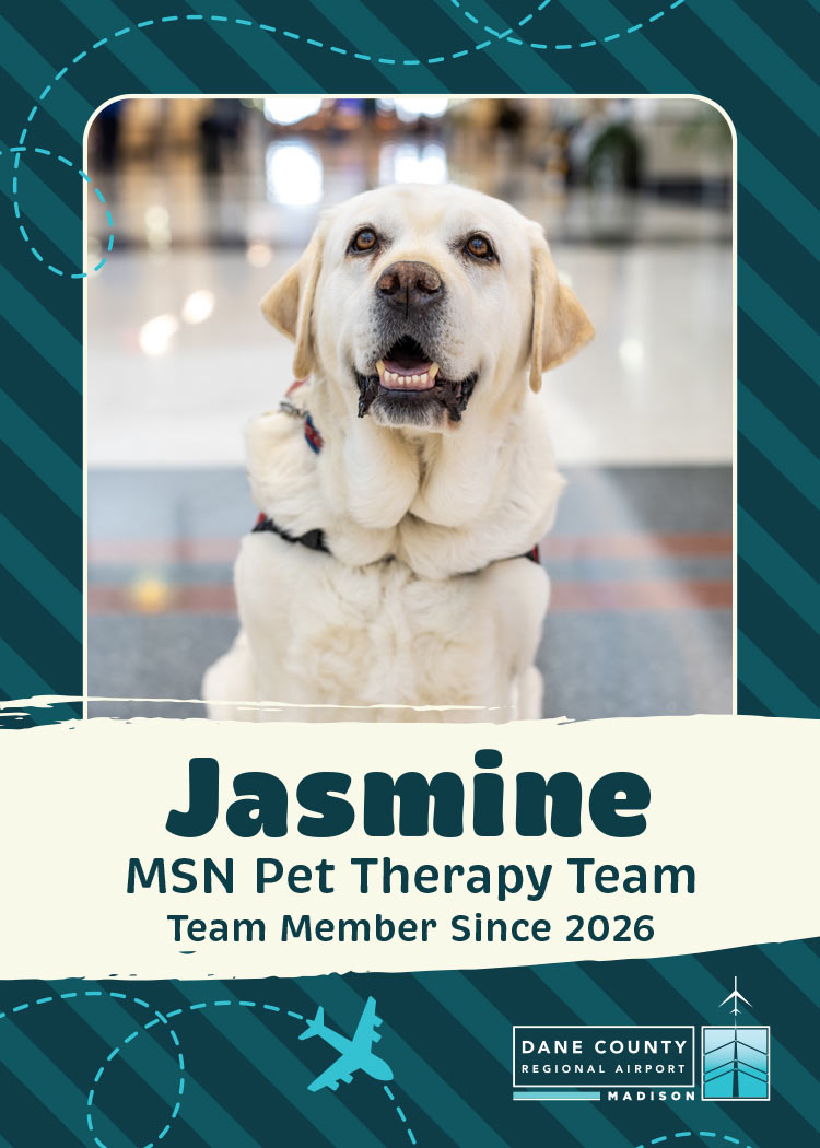 Jasmine Pet Therapy Dog