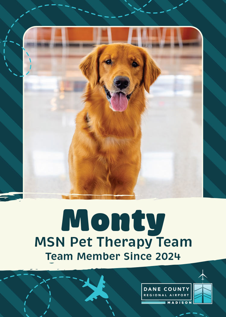 Monty Pet Therapy Dog