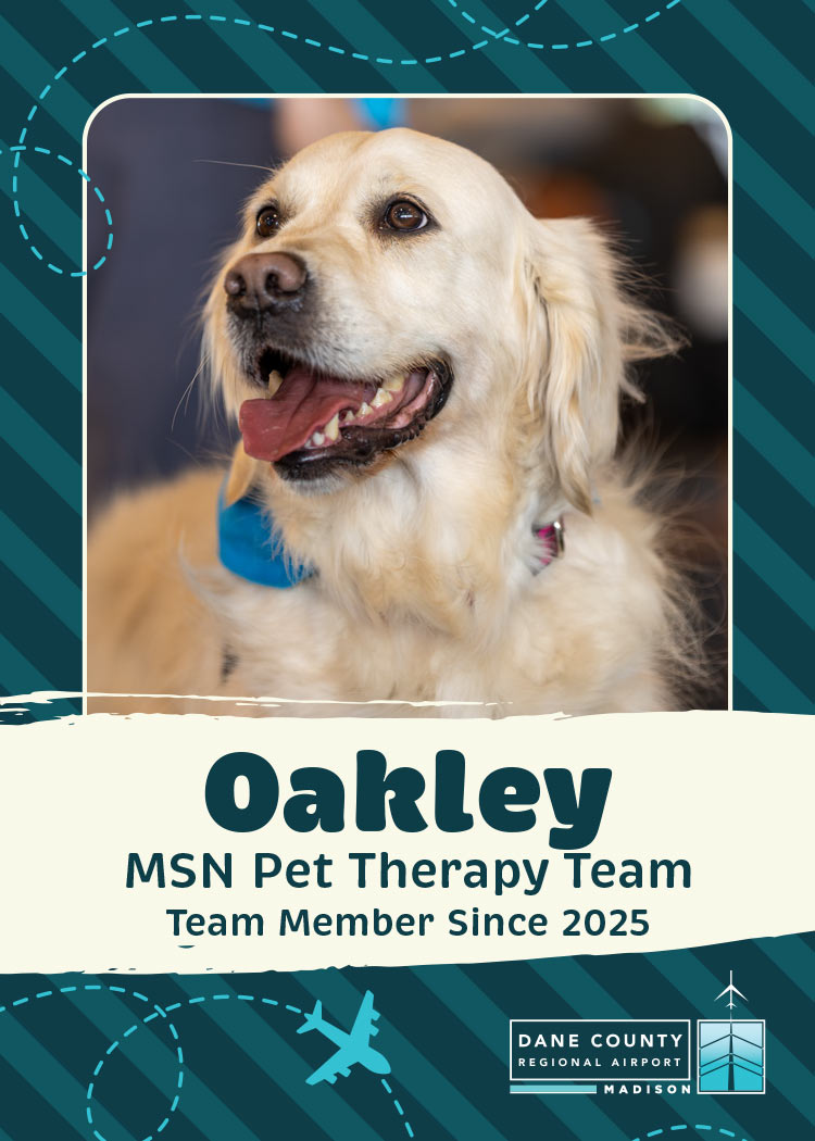 Oakley Pet Therapy Dog